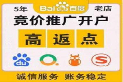 某电商平台的SEM代运营策略解析